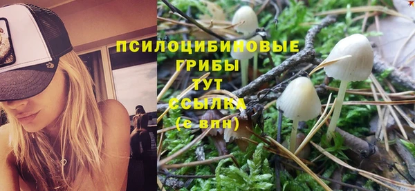 ECSTASY Краснослободск