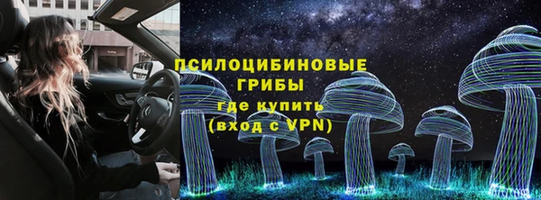 ECSTASY Краснослободск