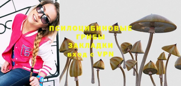 ECSTASY Краснослободск