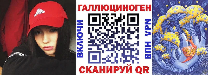 darknet наркотические препараты  купить наркоту  Сенгилей  Псилоцибиновые грибы мицелий 